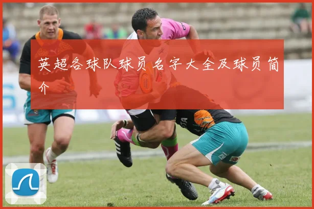 英超各球队球员名字大全及球员简介