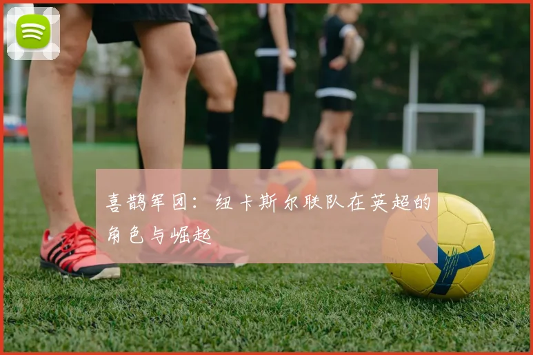 喜鹊军团：纽卡斯尔联队在英超的角色与崛起