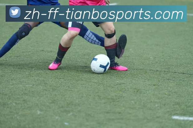 天博体育发展历程